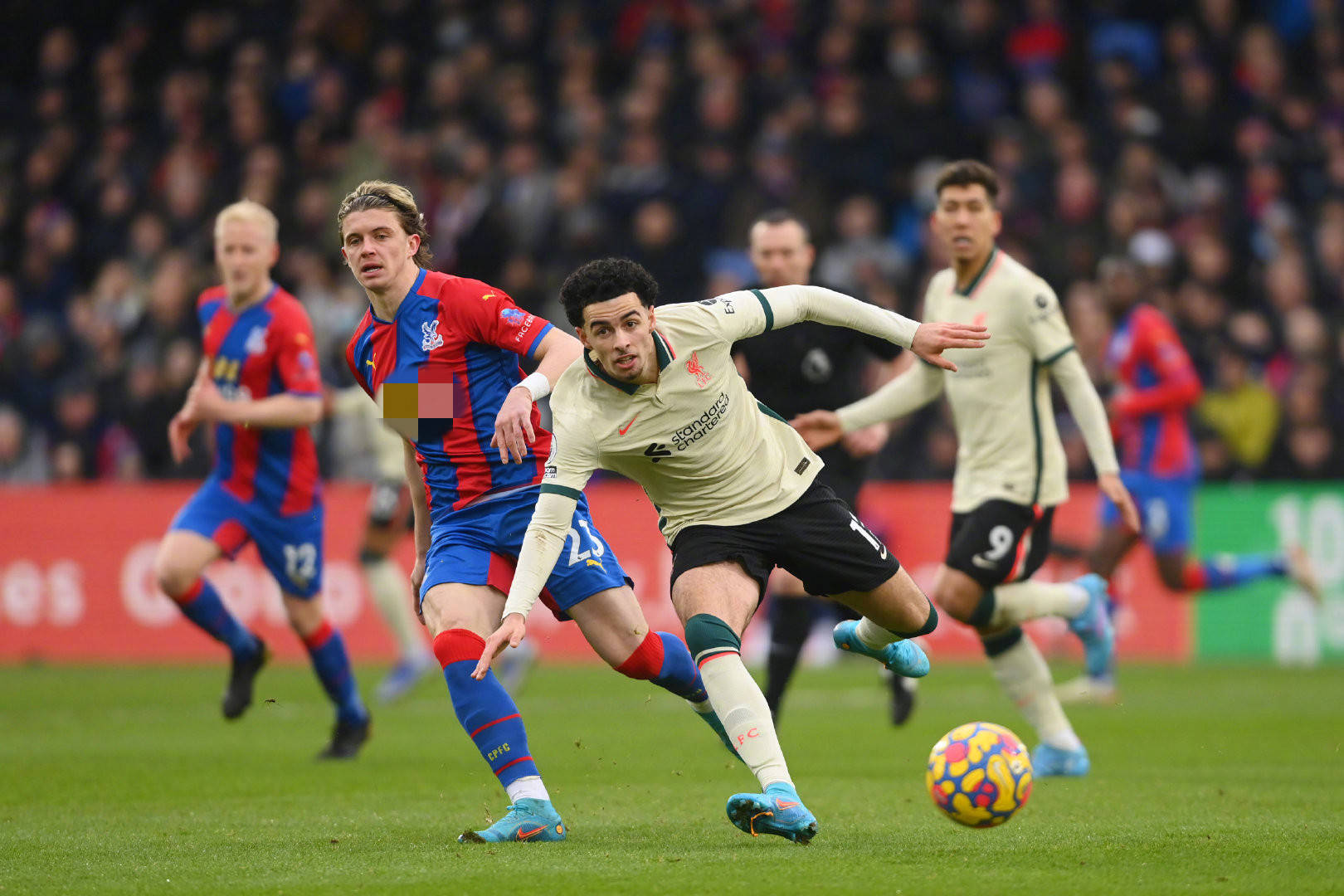 格雷和狄金 格雷和狄金